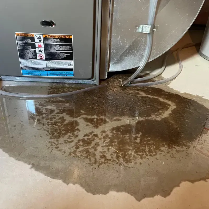 Appliance Leak Cleanup in Kankakee County, IL